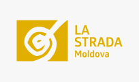 Partner Logo