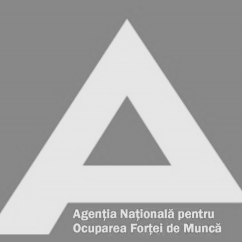 Partner 1